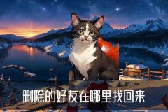 怎样看删除的聊天记录，艮摞观察怎样看删除的微信聊天记录