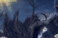 艾尔登法环白龙能一直刷吗