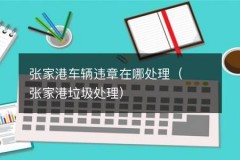 张家港车辆违章在哪处理（张家港垃圾处理）