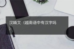 汉喃文（越南语中有汉字吗）