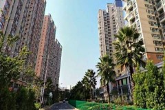 绵阳福泽园小区在哪读小学