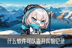 在线查开宾馆记录，树荞通用3种方法