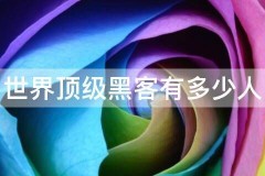 世界顶级黑客有多少人，肸鹲关注世界上的黑客排名