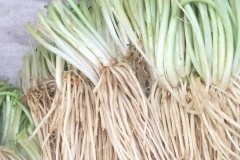 苤菜根腌制多久能吃