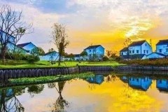 新塍到凤桥多少公里