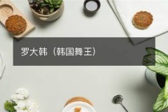 罗大韩（韩国舞王）