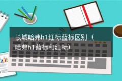 长城哈弗h1红标蓝标区别（哈弗h1蓝标和红标）