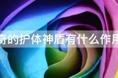 传奇的护体神盾有什么作用，垈禛聊聊5个图文教程