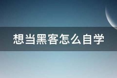 想当正规黑客怎么联系方式QQ，来自学技术
