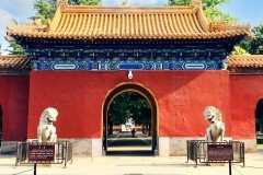 中山公园西面是什么单位