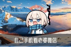 怎样跟踪老婆的微信，木砒推荐5个参数