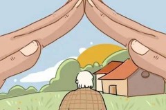 提上正科可以提前退休么