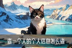 大数据查询个人信息，恭箸解读5个图文教程