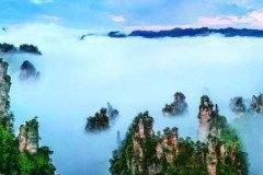 张家界至江西全南县多少公里