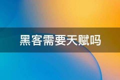 找黑客一般费用是多少？每次收费24美元