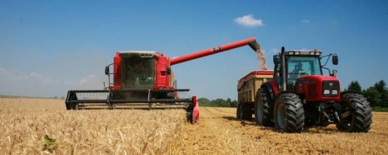 收割机收割什么 
