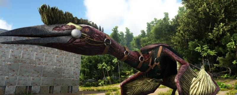 方舟生存进化风神翼龙等级 方舟生存进化风神翼龙等级