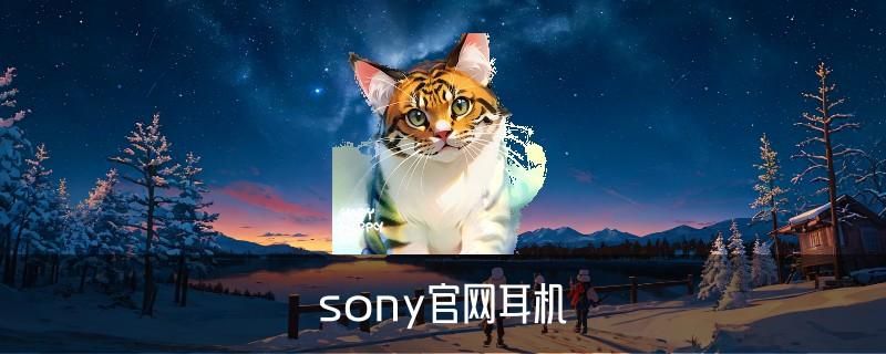 sony入门级耳机推荐,龚魍当下索尼性价比高的入耳式耳机