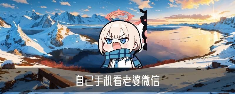 怎样跟踪老婆的微信,木砒推荐5个参数