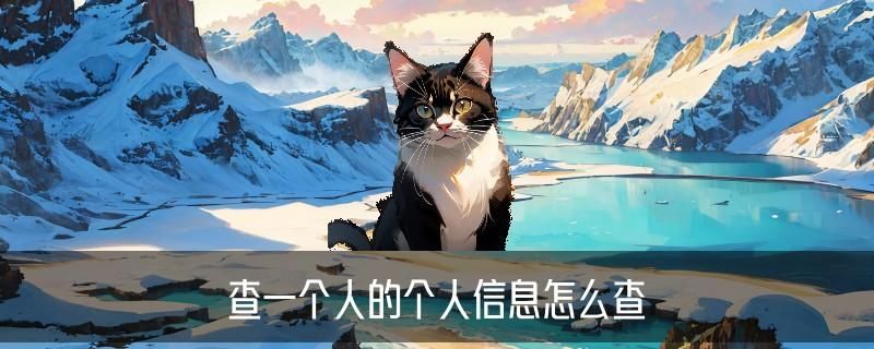 大数据查询个人信息，恭箸解读5个图文教程 