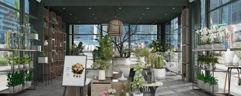 花店股东的社会职务