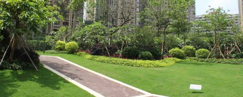 新小区没搞绿化能通水电吗 