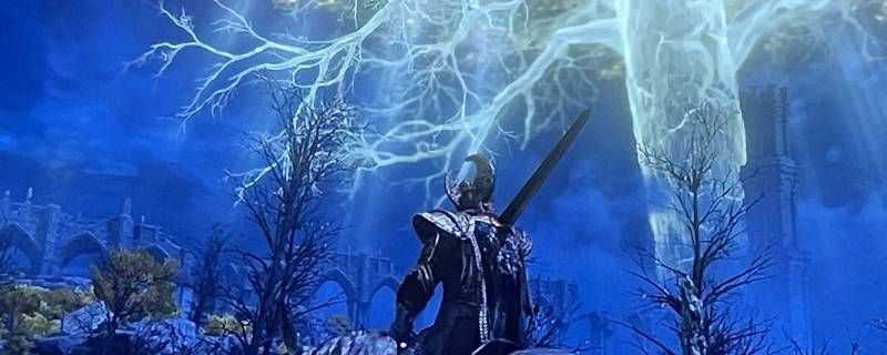 老头环武器加10就卡 