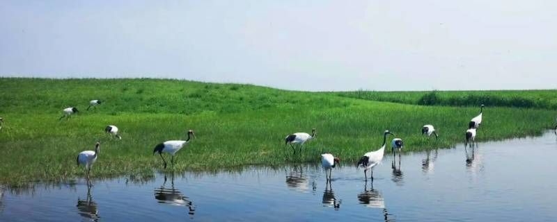 齐齐哈尔外卖员早班几点上班