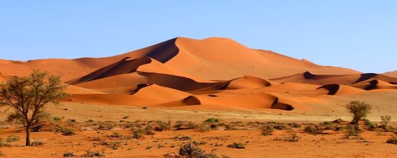 非洲纳米比亚南部植被类型 非洲纳米比亚南部植被类型