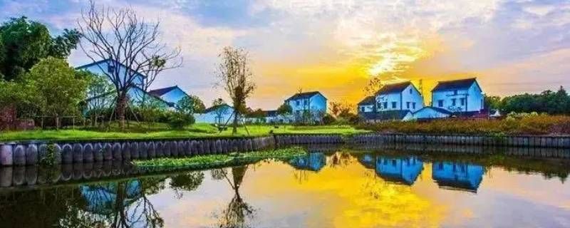 新塍到凤桥多少公里 