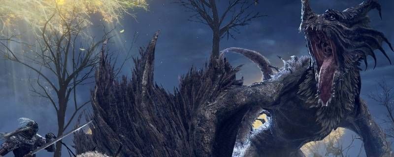 艾尔登法环白龙能一直刷吗 