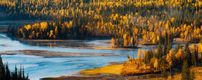 新疆档案职称怎么考 