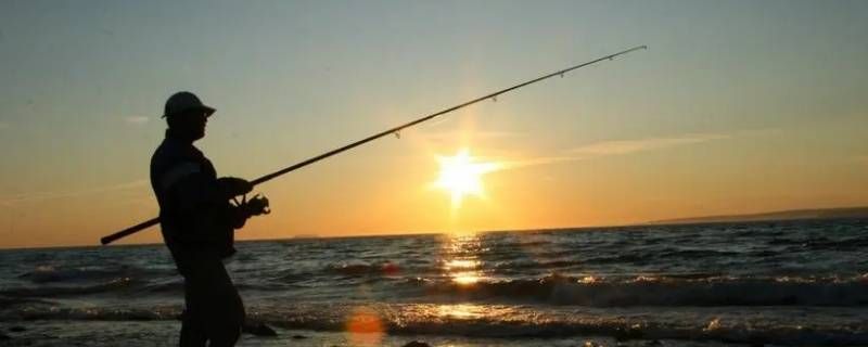 钓鱼能用泡腾片打窝吗 